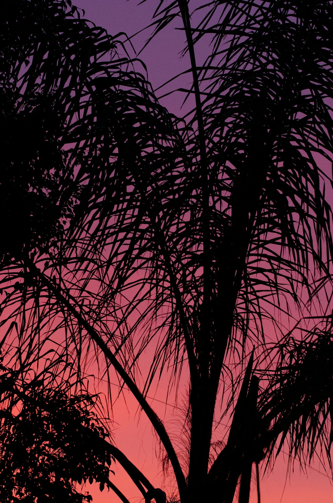 Retro Synthwave Loop